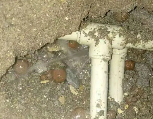 双清卫生间测漏