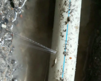 双清卫生间测漏水多少钱